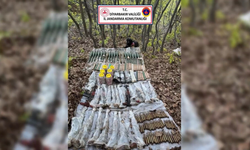 8 ilde arazi taramalarında 34 sığınak imha edildi