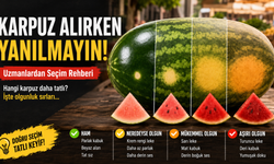 Karpuz alırken bu detayı sakın gözden kaçırmayın! 5 altın kuralı