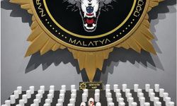 Malatya'da “Torbacı" operasyonunda 2 gözaltı