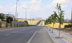 Diyarbakır'da Mardin Yolu'nda 14 kilometrelik dönüşüm