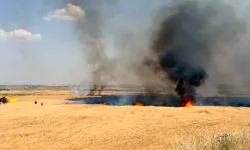 Mardin’de anız ve saman balyası makinesi alevlere teslim oldu