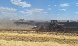 Mardin'de yaklaşık 80 dönüm buğday ekili alan kül oldu