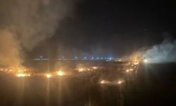Mardin’de yerleşim alanlarına sıçrayan anız yangınları kontrol altına alındı
