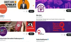 Maskeleri düştü: Dişi kuş için bile meydana çıkan "sözde kadın dernekleri" Rahmi Koç'a karşı lal oldu