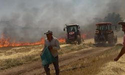 Mazıdağı'nda tarla yangını büyümeden söndürüldü