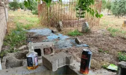 Mezarlıklarda içki tepkisi Diyarbakırlılar duruma isyan etti