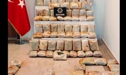 Muş'ta 60 kilogram skunk ele geçirildi