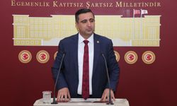 Ramanlı’dan Bakan Tekin'e 'anadilde eğitim' sorusu