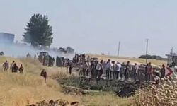 Şanlıurfa’da 500 dönüm buğday ekili alan yandı