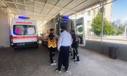 Şanlıurfa'da mercimek hasadında çalışan 6 işçi hastanelik oldu