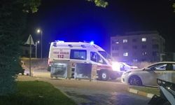 Şanlıurfa'da taşlı sopalı kavga: 3 yaralı