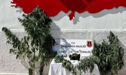 Şanlıurfa'da uyuşturucu operasyonu