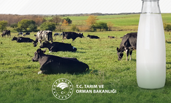 Çiğ süt üretimi 21,3 milyon tonu aştı