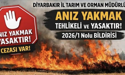 Diyarbakırda anız yakımına dekar başı 698 lira para ceza