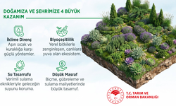 Şehirlerde kurakçıl peyzaj dönemi başladı