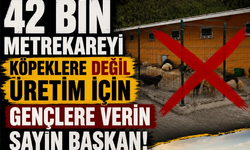 "Konforlu barınak" ilan edilerek övünülmesine büyük tepki