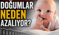 Kariyer, ekonomi ve geç evlilikler: Doğumlar neden azalıyor?