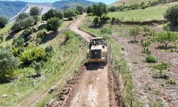 Siirt'te tarımsal üretim yollarında çalışmalar sürüyor