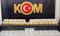 Şırnak'ta 2,5 milyon liralık kaçak ilaç ve serum ele geçirildi
