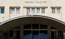Şırnak'ta ormanlara girişler yasaklandı