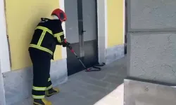 TCDD binasına giren yılan paniğe neden oldu