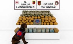 Van'da 291 kilo toz esrar ele geçirildi: Bir tutuklama