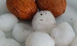 Van'da haziran ayında ceviz büyüklüğünde dolu yağışı