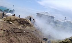 Van'da samanlık yangını: 20 ton saman kül oldu