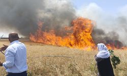 Diyarbakır'da buğday tarlası alevlere teslim oldu