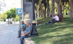 Yaz mevsiminde en sık görülen sağlık sorunları ve risk altındaki gruplar?