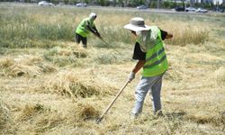 Yeşilyurt'ta yangın riskine karşı ot biçme çalışması