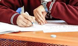 LGS sonuçları açıklandı: Tercihler ne zaman başlıyor?