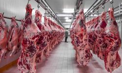 Kesimhanelerde bunlar artık zorunlu olacak