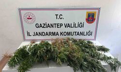 Gaziantep'te narkotik madde operasyonu