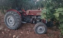 Çalınan traktör 13 gün sonra zeytinlikte bulundu