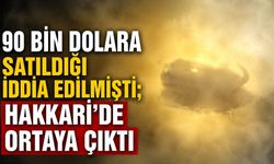 90 bin dolara satıldığı iddia edilmişti; Hakkari'de ortaya çıktı