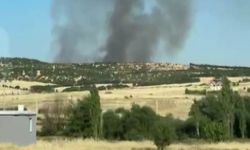 Diyarbakır'da ağaçlık alanda yangın