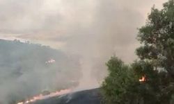 Adıyaman'da anız yangını köyde korku dolu anlar yaşattı