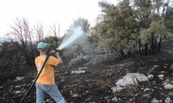 Adıyaman'da orman yangını korkuttu
