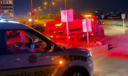 Adıyaman'daOtomobil refüje çıktı