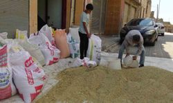 Arpa ve buğdaydaki verim çiftçinin yüzünü güldürdü