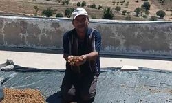 Çermik'te dutlar pazardaki yerini aldı