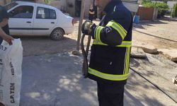 Diyarbakır'da bir evde yaklaşık 2 metre uzunluğunda yılan çıktı