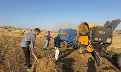 Diyarbakır'da mercimek hasadı bitti