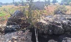 Diyarbakır'da otluk alanda yangın: Çok sayıda ağaç zarar gördü