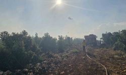 Gaziantep'te orman yangınına havadan ve karadan müdahale