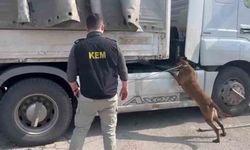 Şırnak'ta 90 kilo narkotik madde ele geçirildi