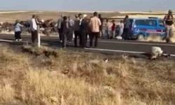 Siverek'te işçi minibüsü koyun sürüsüne daldı