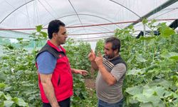 Sulu tarım mevsimlik tarım işçiliğini bitirdi