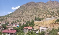 Yaylada baygın halde bulunan kadın için seferber oldular